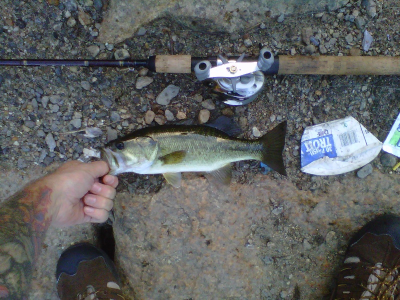 8/26/11 - Sudbury Reservoir