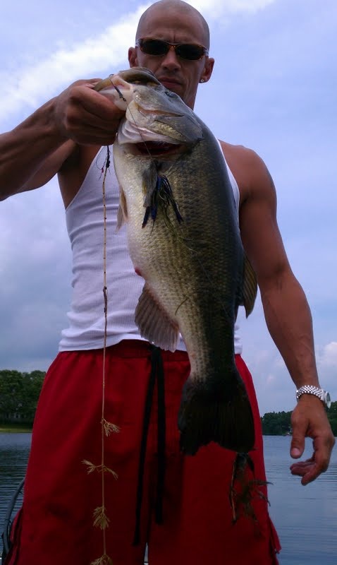 6lber