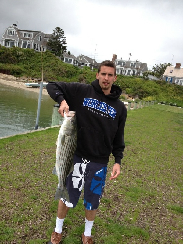 Striper 